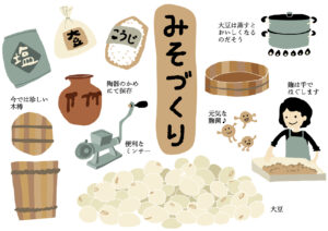 味噌づくりのイラスト