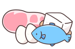 たんぱく質のイラスト