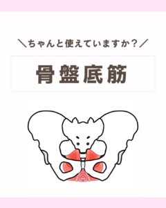 骨盤底筋